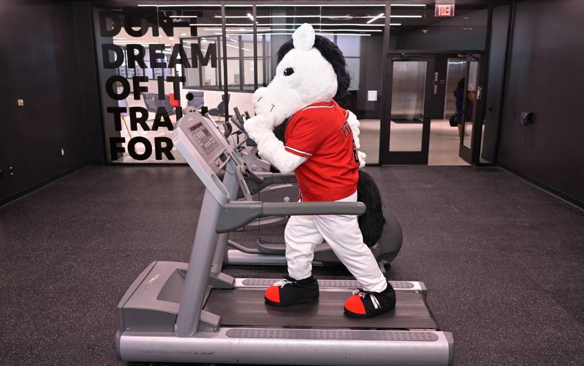 Monty on a treadmill